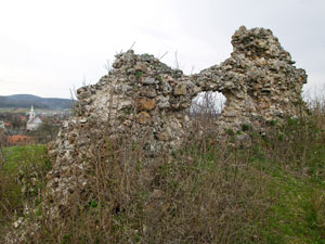 Квасівський замок